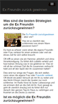 Mobile Screenshot of dieexzurueck.de